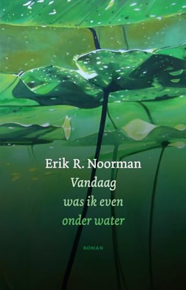 Vandaag was ik even onder water
