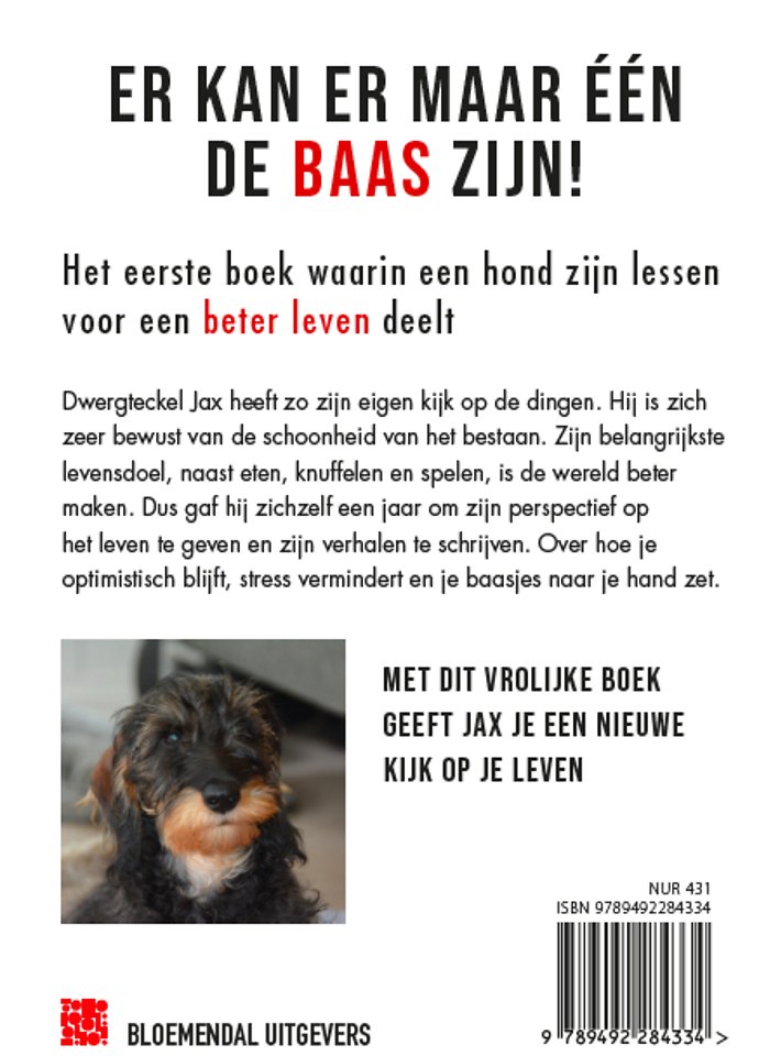 Er kan er maar één de baas zijn
