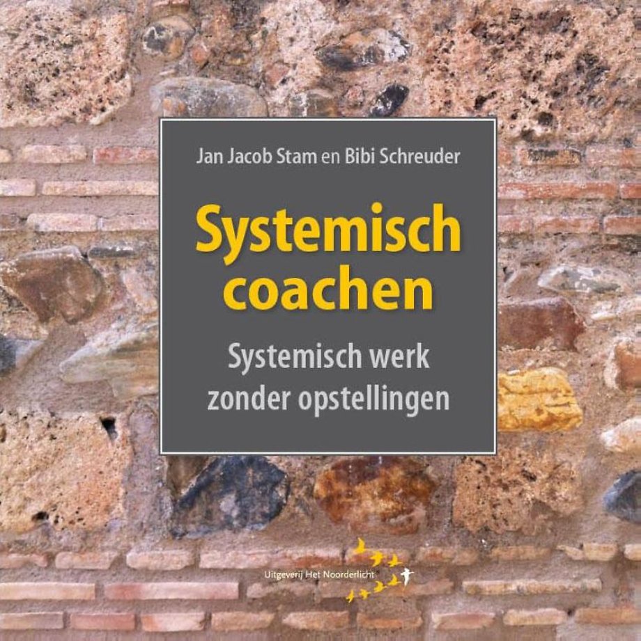 Systemisch coachen