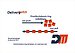 Distributie besturing webshops: van push naar pull Distributie besturing webshops: van push naar pull