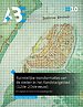 Ruimtelijke transformaties van de steden in het Randstadgebied (12de-20ste eeuw)