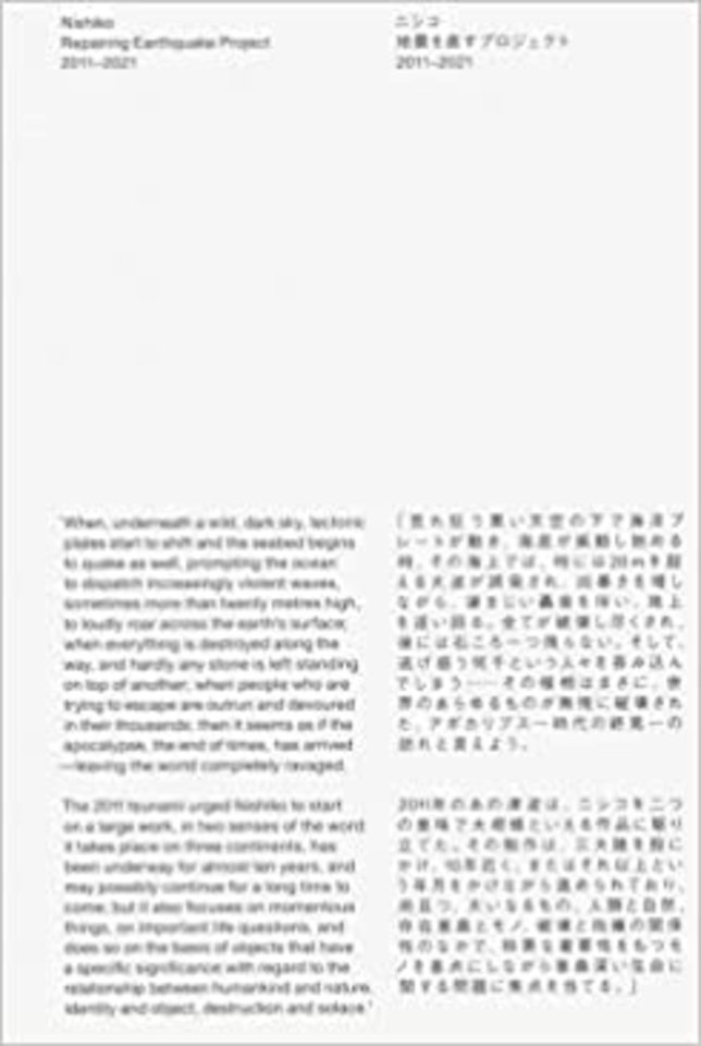 Repairing Earthquake Project 2011—2021