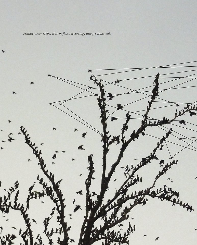 Rody Luton. Time Encircled