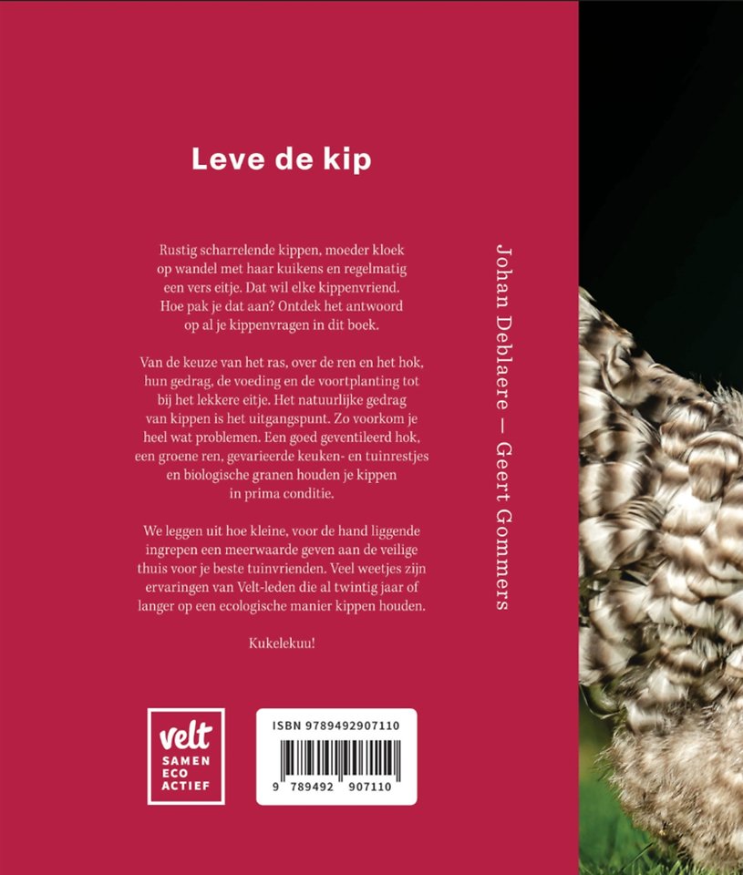 Kippen in de tuin