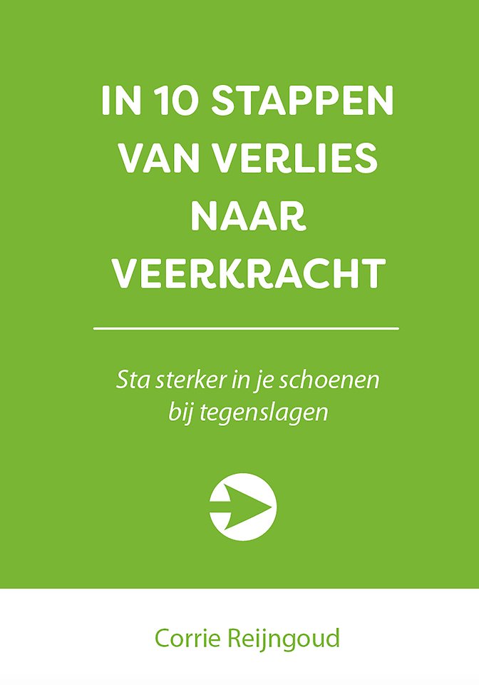 In 10 stappen van verlies naar veerkracht In 10 stappen van verlies naar veerkracht