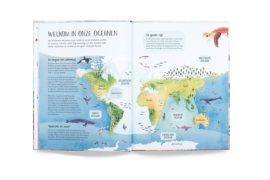 Zwem mee met schildpad in de diepe zee!