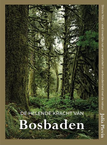 De helende kracht van bosbaden