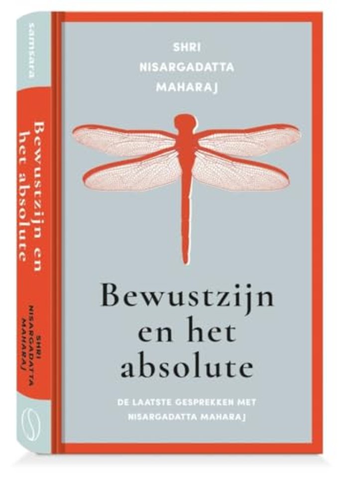 Bewustzijn en het absolute