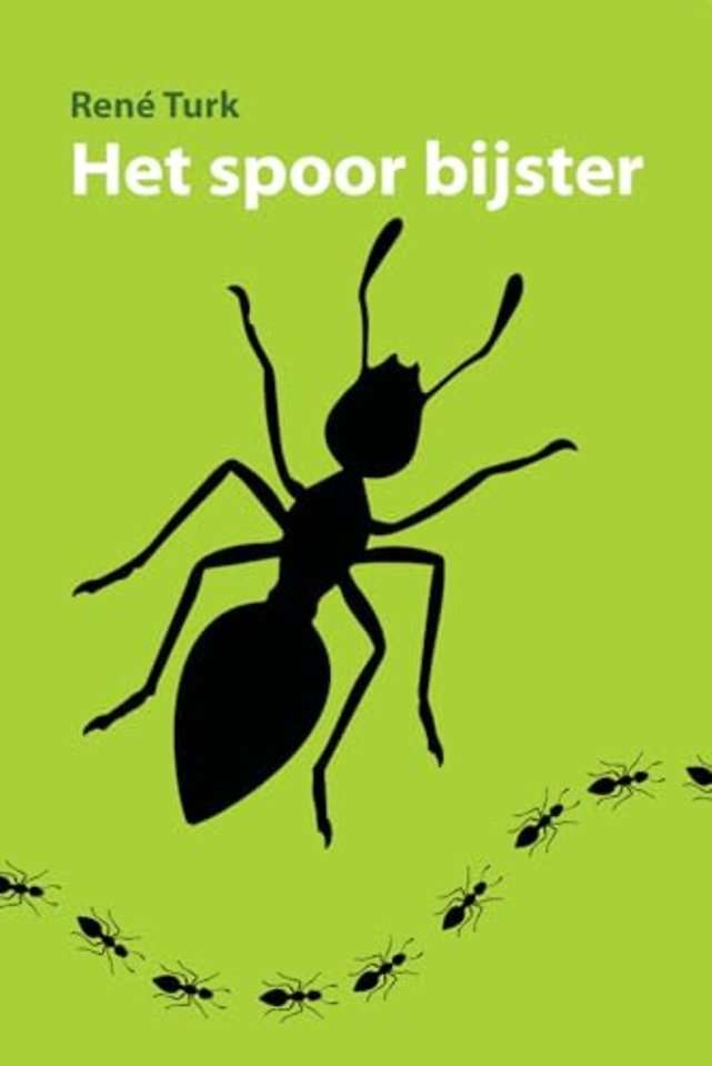Het spoor bijster