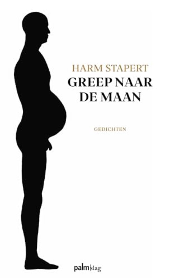 Greep naar de maan