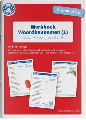 Grammatica Woordbenoemen (1) Geschikt voor groep 5 en 6 Werkboek