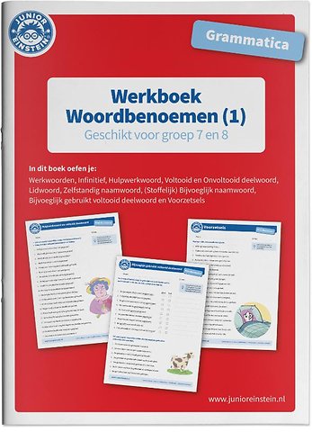 Grammatica Woordbenoemen 1 Geschikt voor groep 7 en 8 Werkboek