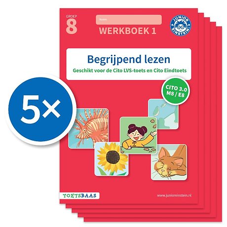 Begrijpend lezen 1 (Set van 5) groep 8 werkboek