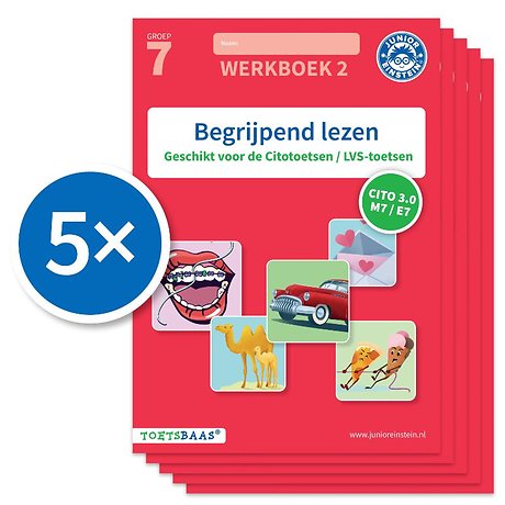 Begrijpend lezen werkboek 2 (Set van 5)