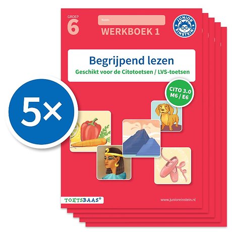 Begrijpend lezen werkboek 1 (Set van 5)