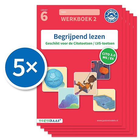 Begrijpend lezen werkboek 2 (Set van 5)