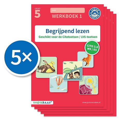 Begrijpend lezen werkboek 1 (Set van 5)