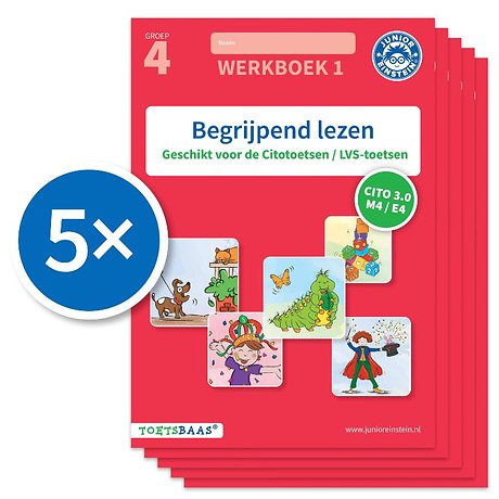 Begrijpend lezen werkboek 1 (Set van 5)