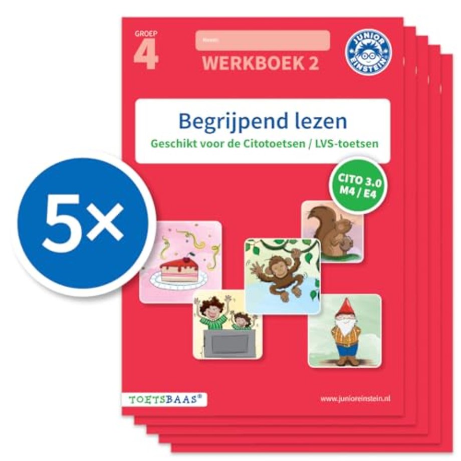 Begrijpend lezen werkboek 2 (Set van 5)
