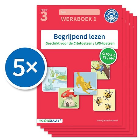 Begrijpend lezen werkboek 1 (Set van 5)