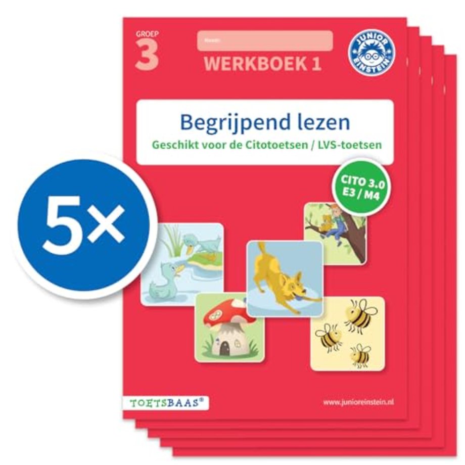 Begrijpend lezen werkboek 1 (Set van 5)