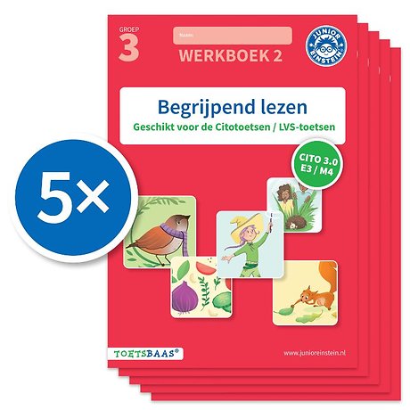 Begrijpend lezen werkboek 2 (Set van 5)