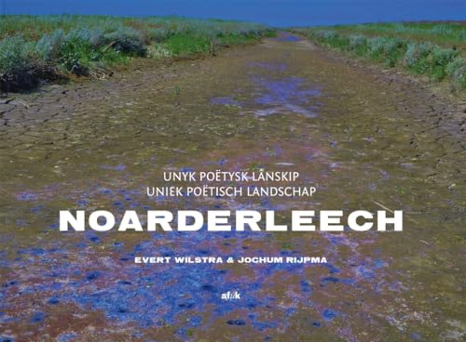 Noarderleech