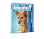 Help je hond bij angst