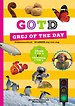 Grej of the day Middenbouwboek Grej of the day Middenbouwboek