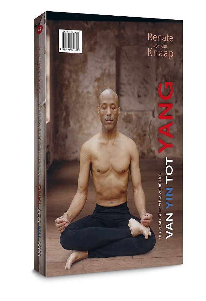 Van Yin tot Yang