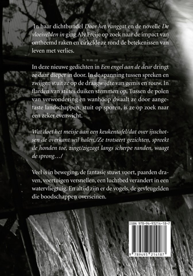 Een engel aan de deur