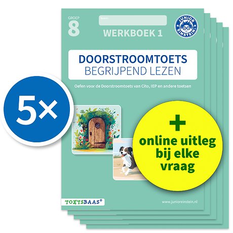 Doorstroomtoets Begrijpend lezen – Werkboek 1 + Online video-uitleg (set van 5)