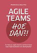 Agile teams - Hoe dan?!