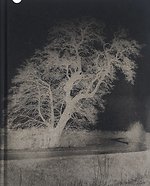 FELWA