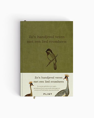 Zo'n handjevol veren met een lied eromheen
