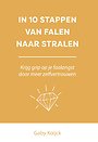 In 10 stappen van falen naar stralen In 10 stappen van falen naar stralen