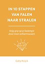 In 10 stappen van falen naar stralen In 10 stappen van falen naar stralen