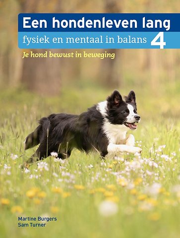 Je hond bewust in beweging