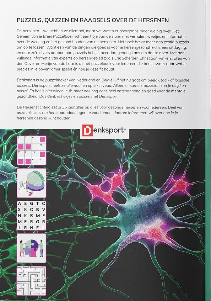 Het Geheim van je Brein Puzzelboek