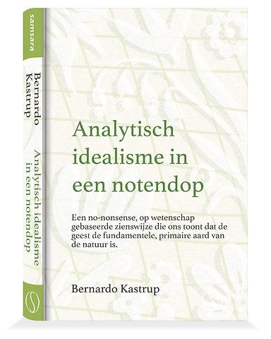Analytisch idealisme in een notendop