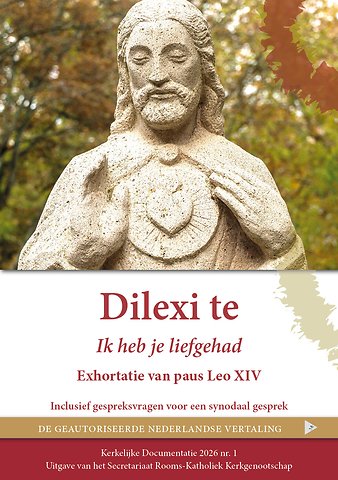 Dilexi te, Ik heb je liefgehad