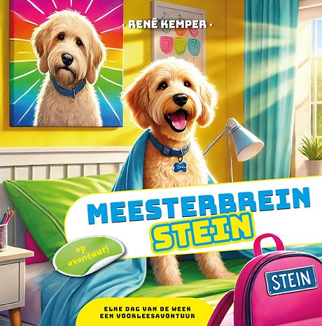 Meesterbrein Stein