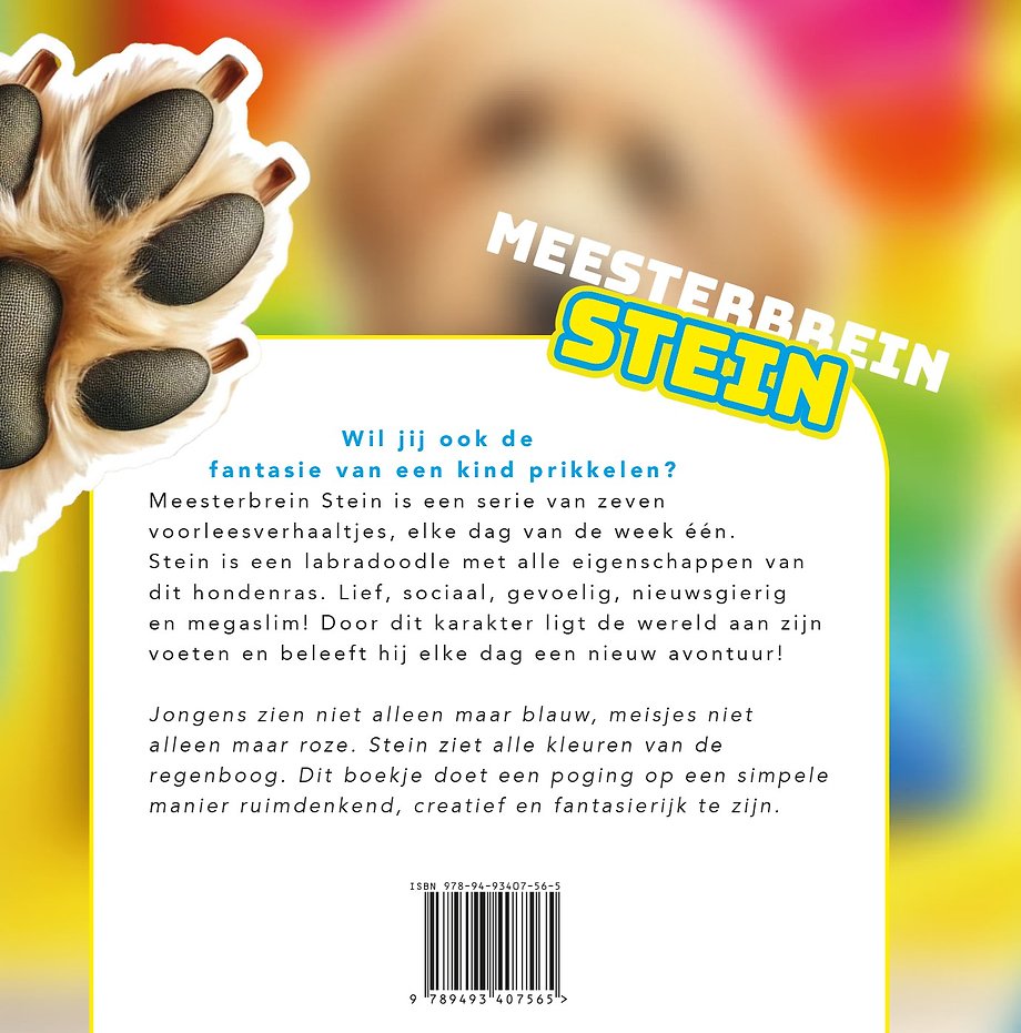Meesterbrein Stein