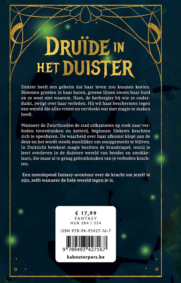 Druïde in het duister