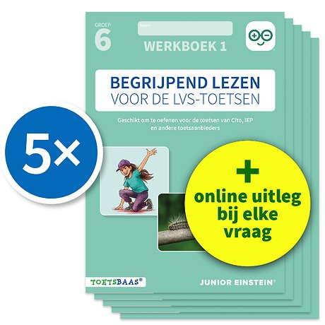 Begrijpend lezen voor de LVS-toetsen - Groep 6 - Werkboek 1 + Online video-uitleg (set van 5)