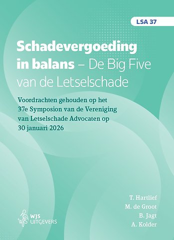 Schadevergoeding in balans. De Big Five van de Letselschade