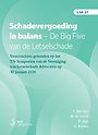 Schadevergoeding in balans. De Big Five van de Letselschade