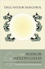 The Mirror of Mindfulness