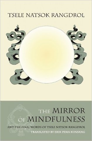 The Mirror of Mindfulness