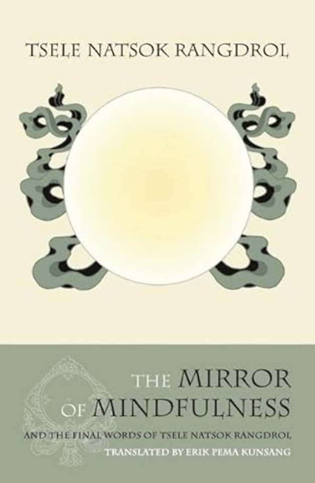 The Mirror of Mindfulness